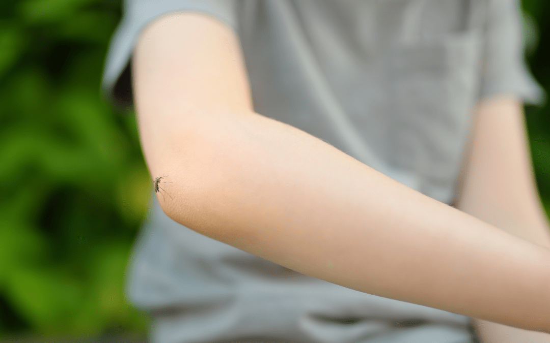 Ease Itchy Insect Bites Fast with Tai Chi Yi Di Tong!